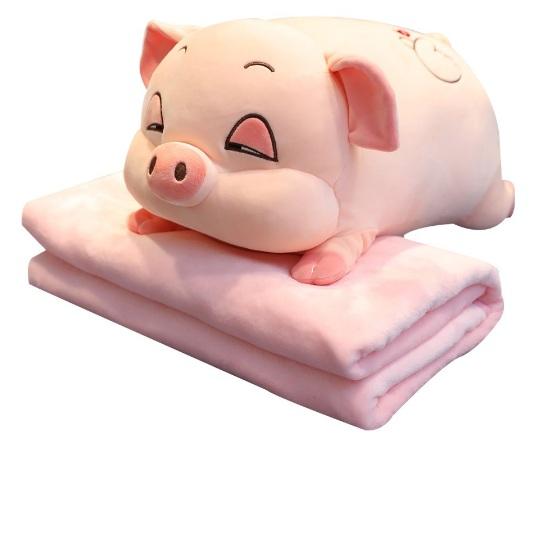 (Tặng 1 móc dán 3D)Bộ chăn gối văn phòng chuột Hamster, Heo xinh. Gấu bông đẹp