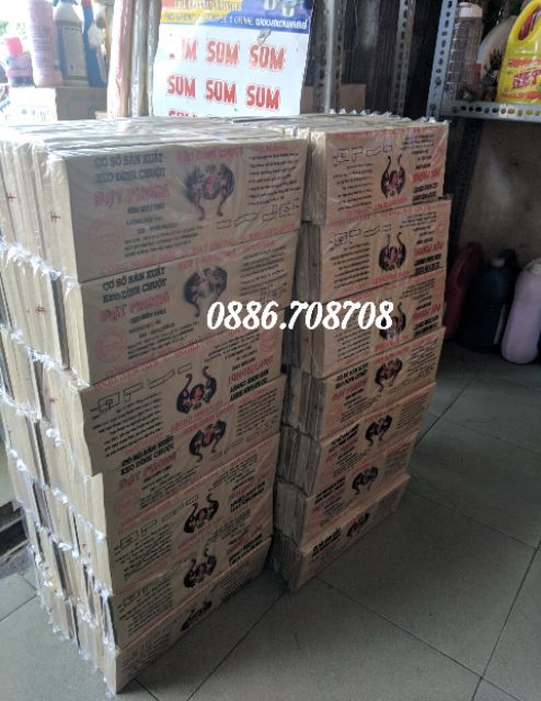 Combo 5 Hộp Keo Dính Chuột Đạt Phong