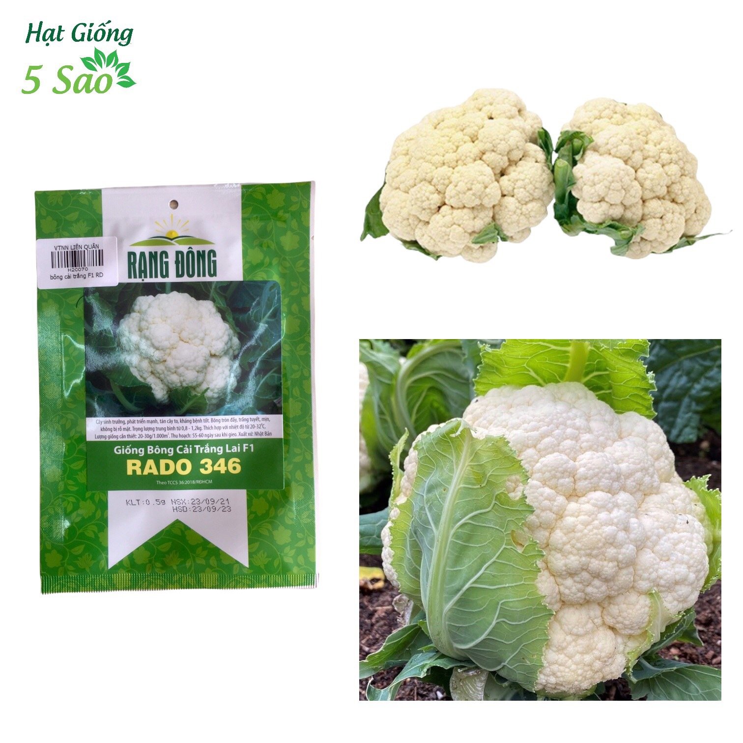 Hạt giống bông cải trắng lai f1 rado 346
