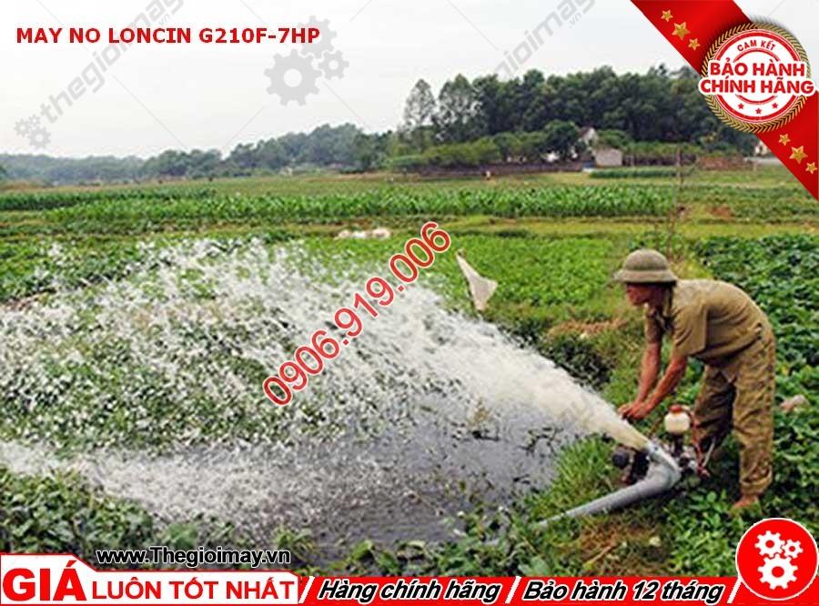 [HCM]Máy nổ Loncin G210F 7HP