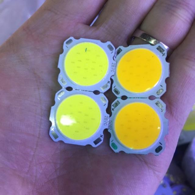 Nhân led cob 36v-12w