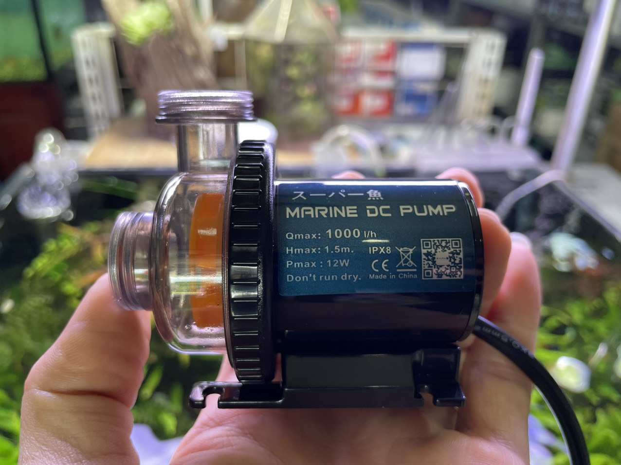 MÁY BƠM DC 24V MARINE 1000, 1500, 2500, 4000, 6000