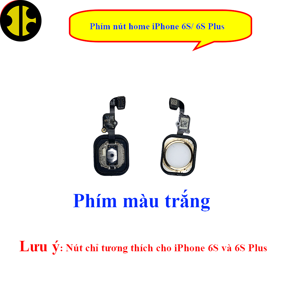Phím nút home iP 6, 6 Plus, 6S, 6S Plus zin bóc máy.