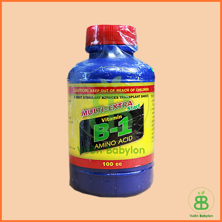 Vitamin B1 Thái Lan 100ml