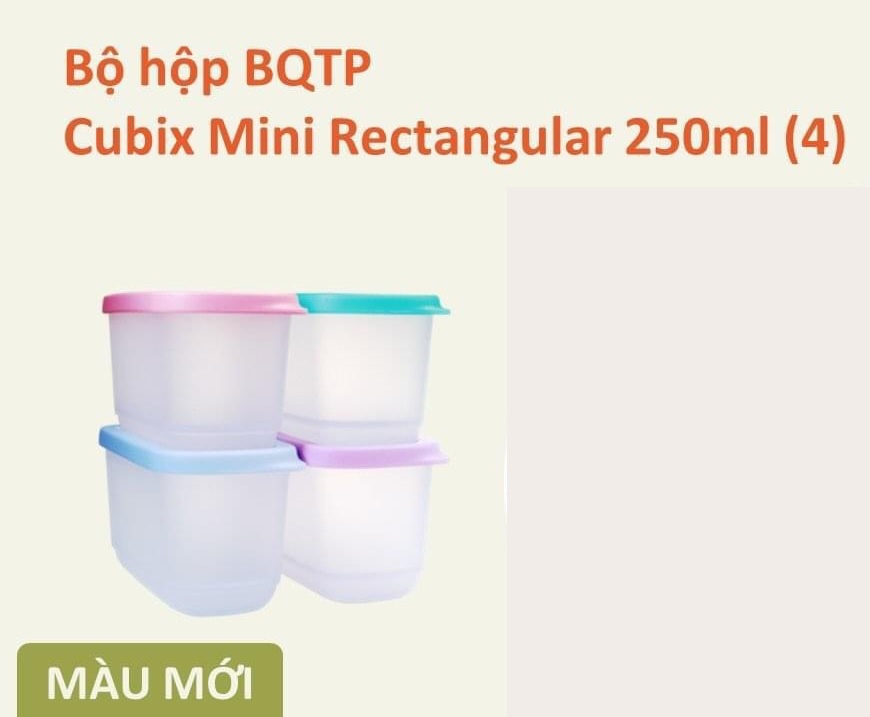 Bộ hộp bảo quản thực phẩm Cubix Mini Rectangular