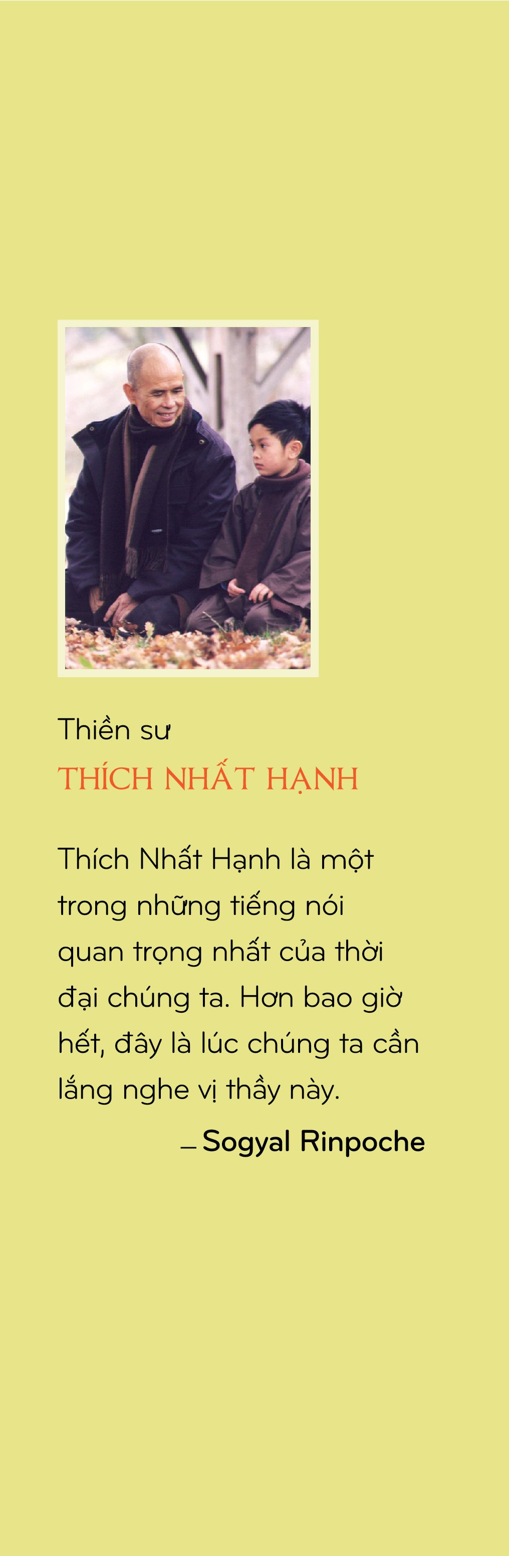 Sách - Mẹ Con Sư Tử - Thích Nhất Hạnh