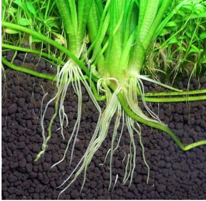 Phân nền thủy sinh S MeKong Bio Plus - bao 2kg