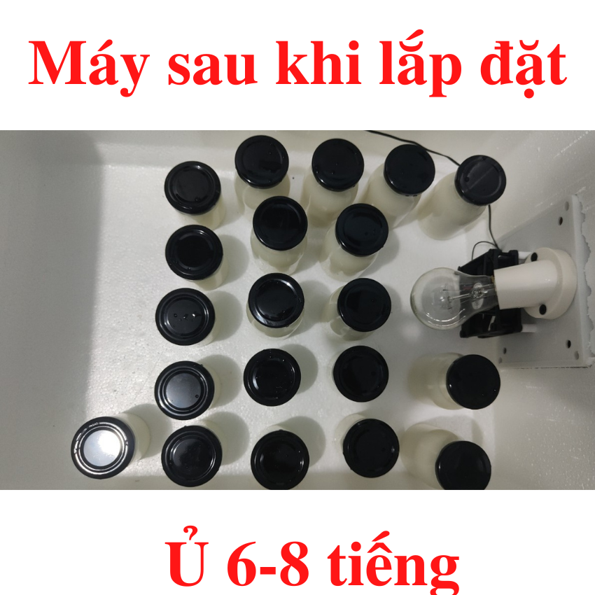 Máy ủ sữa chua thông minh