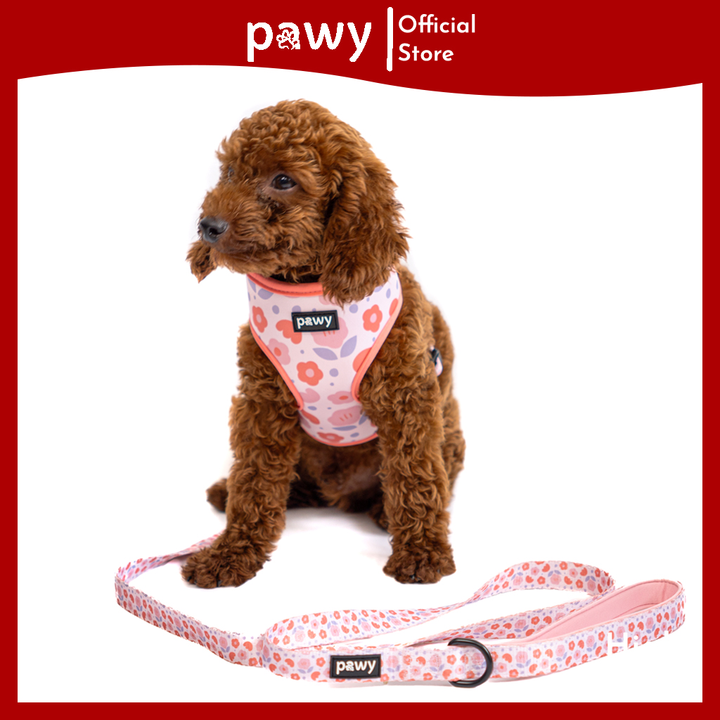 Yếm Dắt Chó Pawy 2 Mặt - Blooming Dalat - Dog Reversible Harness