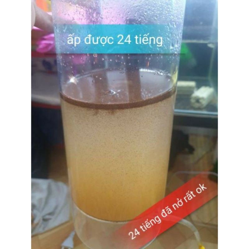 HÀNG CÓ SẴN - Trứng Artemia Lon Đỏ Hàng Loại 1
