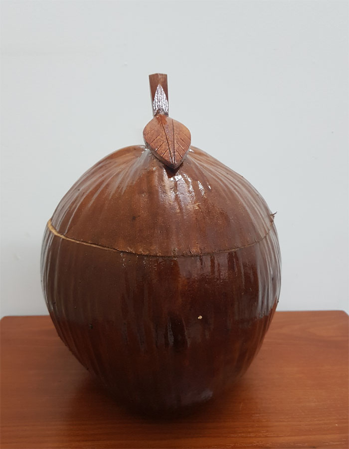 Vỏ đựng bình trà trái dừa ( nắp chiếc lá)
