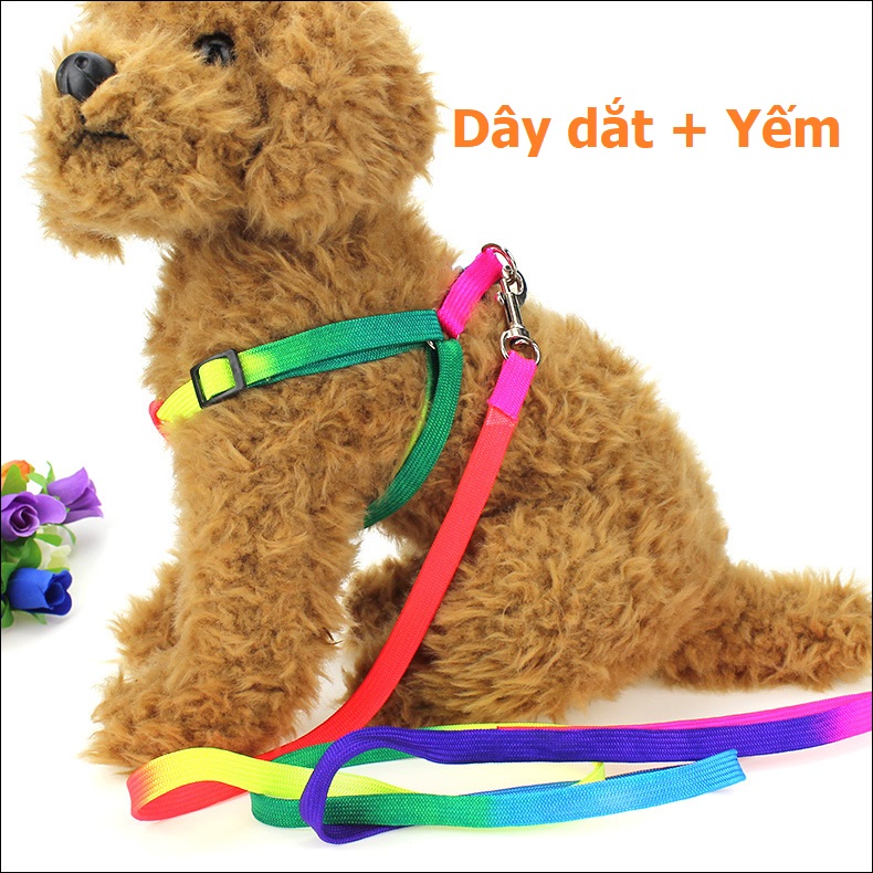 Hanpet - Dây dắt chó- Dây dắt 7 sắc kèm vòng cổ