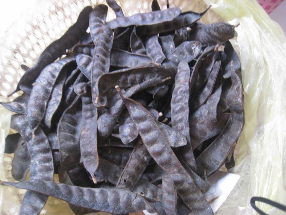 1kg bồ kết khô nghệ an