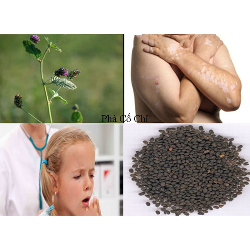 Phá cổ chỉ (1KG) - DV244