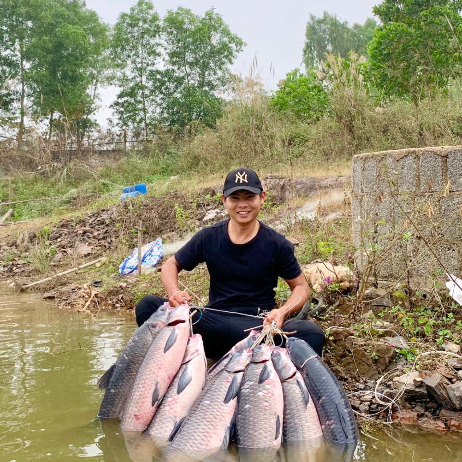 Thính câu cá Lk Hoà New 2023 (tặng túi bột tơ nhện trong gói thính)