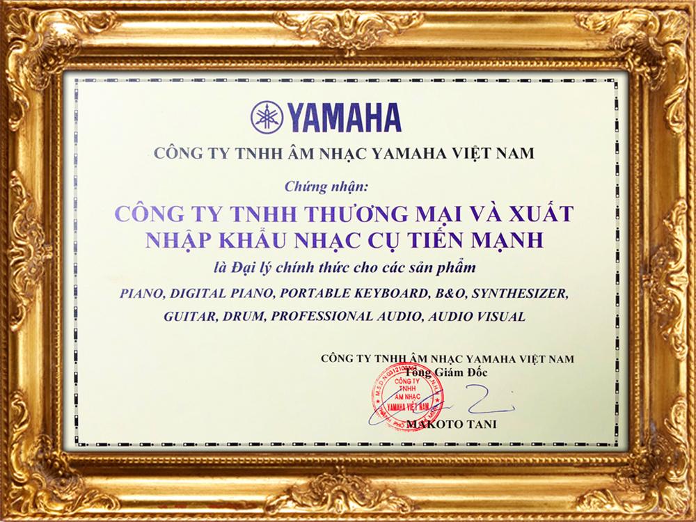 Đàn Ukulele Concert BWS 23 inch B-01 - Hãng phân phối chính thức (Bảo trì trọn đời - Uku Gỗ Mahogany trơn cỡ trung 23  B01 - Tặng Sách giáo trình học Ukulele online cơ bản dài 80 trang)
