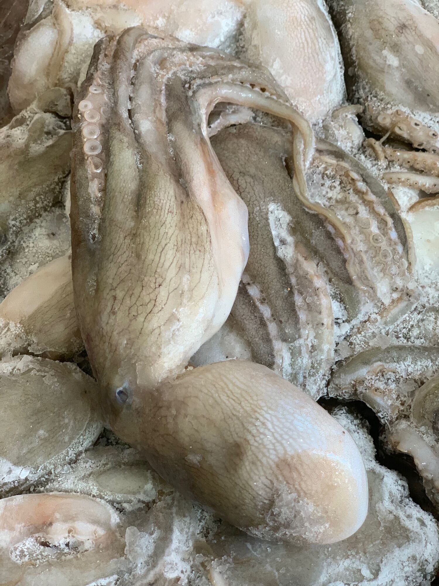 Bạch tuột 2 da 1kg (giao tphcm)