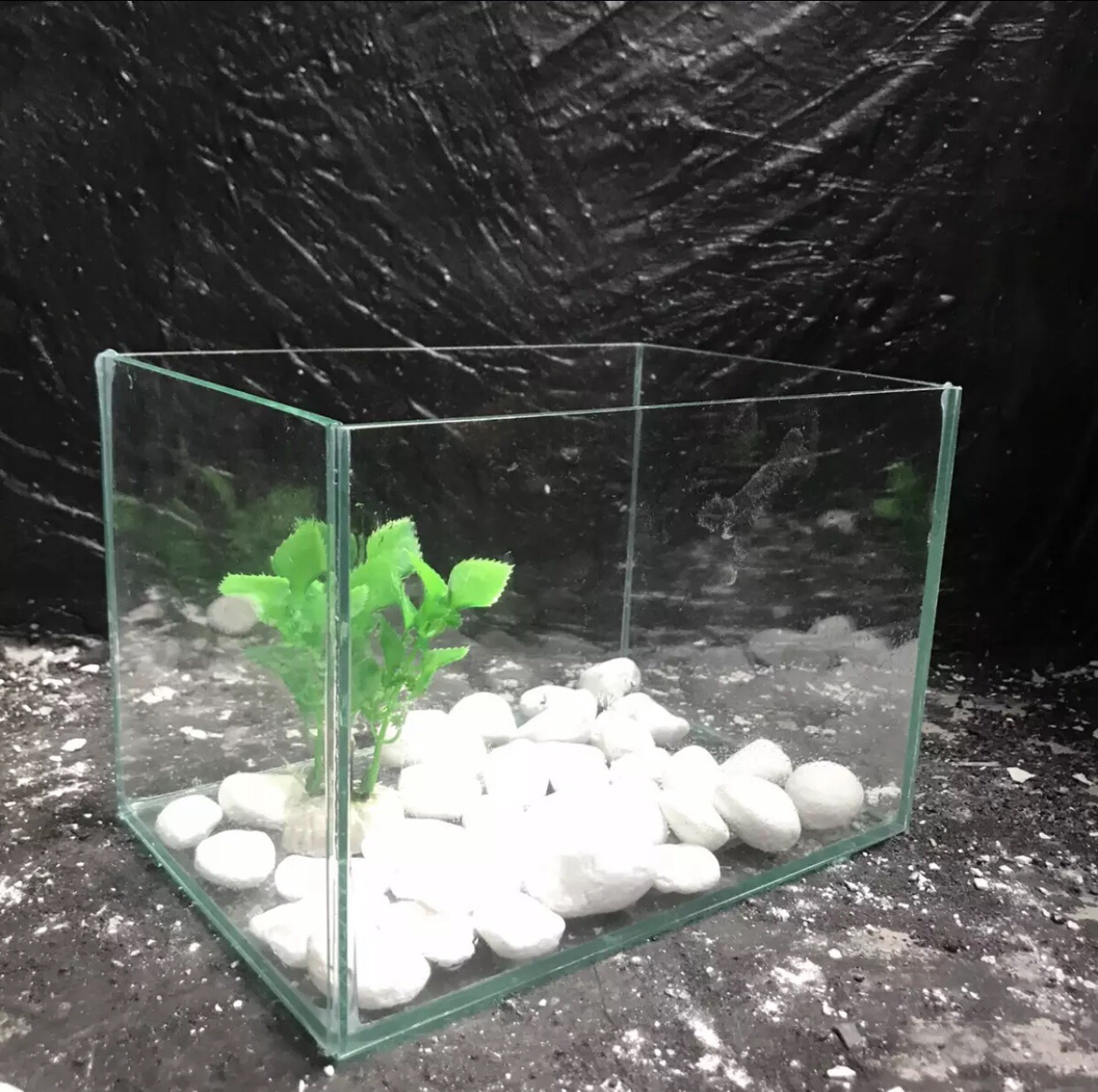 Hồ cá mini giá rẻ 20x14x14 kính 5li