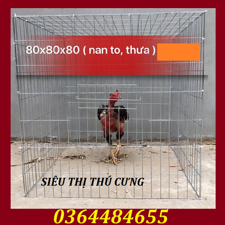 LỒNG NUÔI GÀ CHỌI KHÔNG KHAY TÔN-LỒNG NHỐT GÀ 80X80-LỒNG CHỤP GÀ CHỌInhựa việt nhật