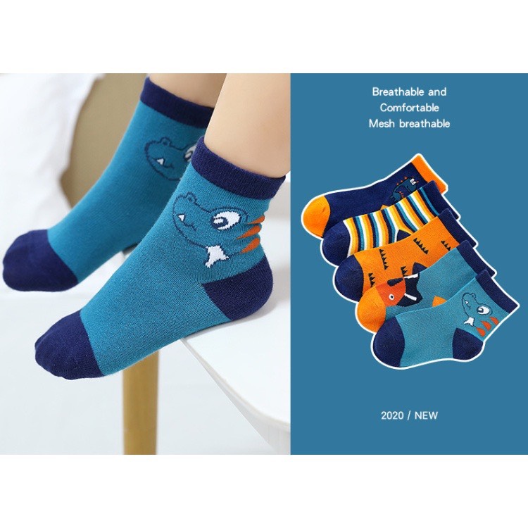 Combo 5 Đôi Tất Khủng Long Cho Bé Trai Từ 1-8 Tuổi - SUMO CITY