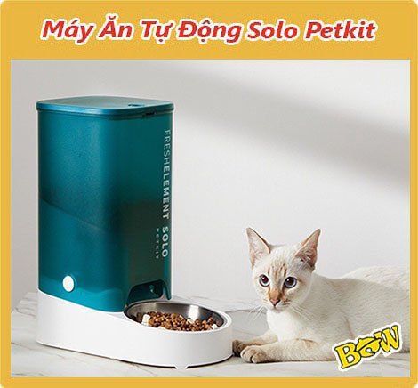 Máy cho ăn tự động Petkit Solo