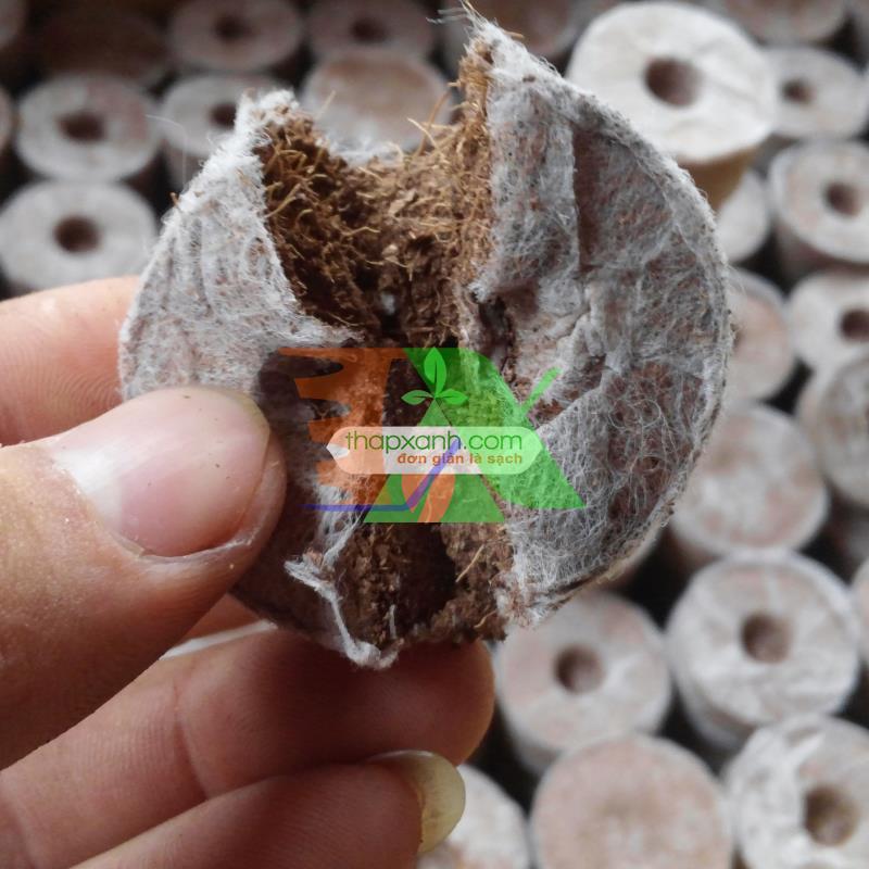 Box 200 tablets ươm beads, tablets Coir