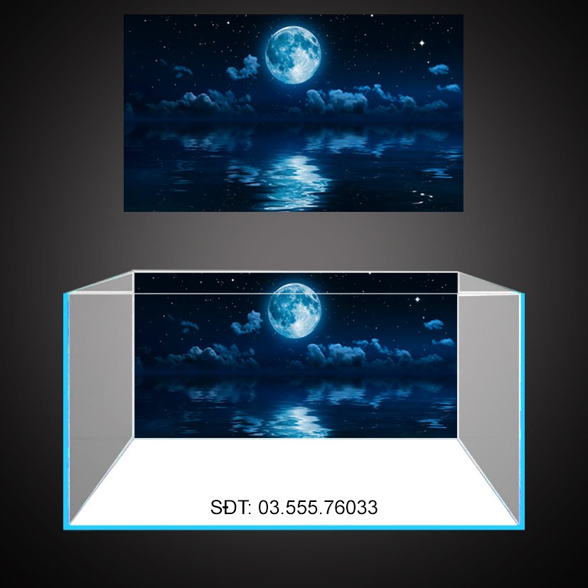 Tranh 3D - phông nền dán hồ cá, bể thủy sinh siêu đẹp và nét, có keo sẵn trên bề mặt,  in các kích thước theo yêu cầu (mã AQB20-222)