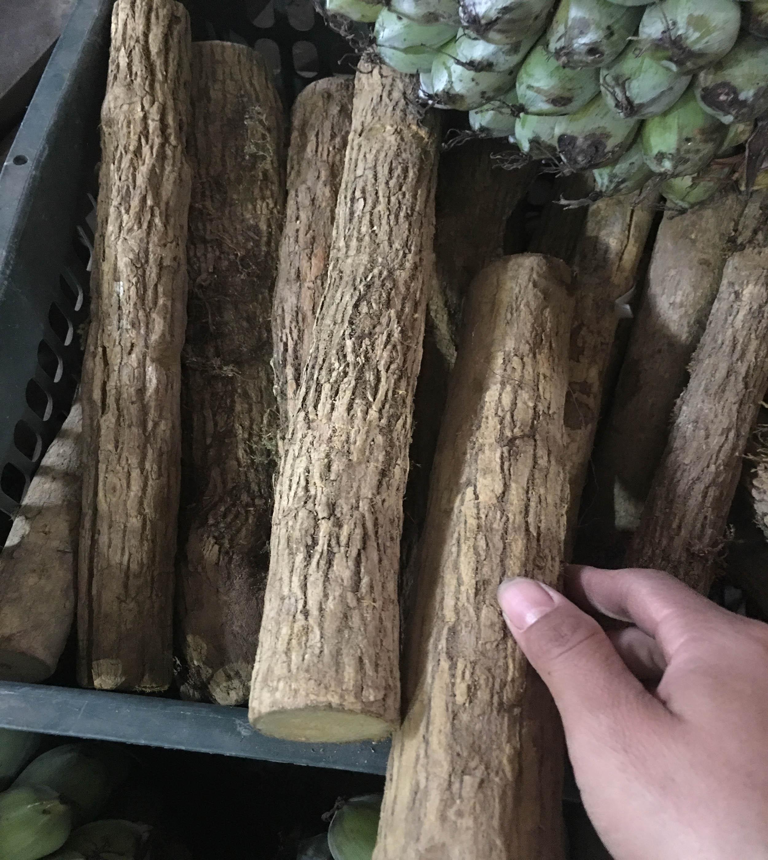 Cây Mật Gấu Tây Bắc 2Kg