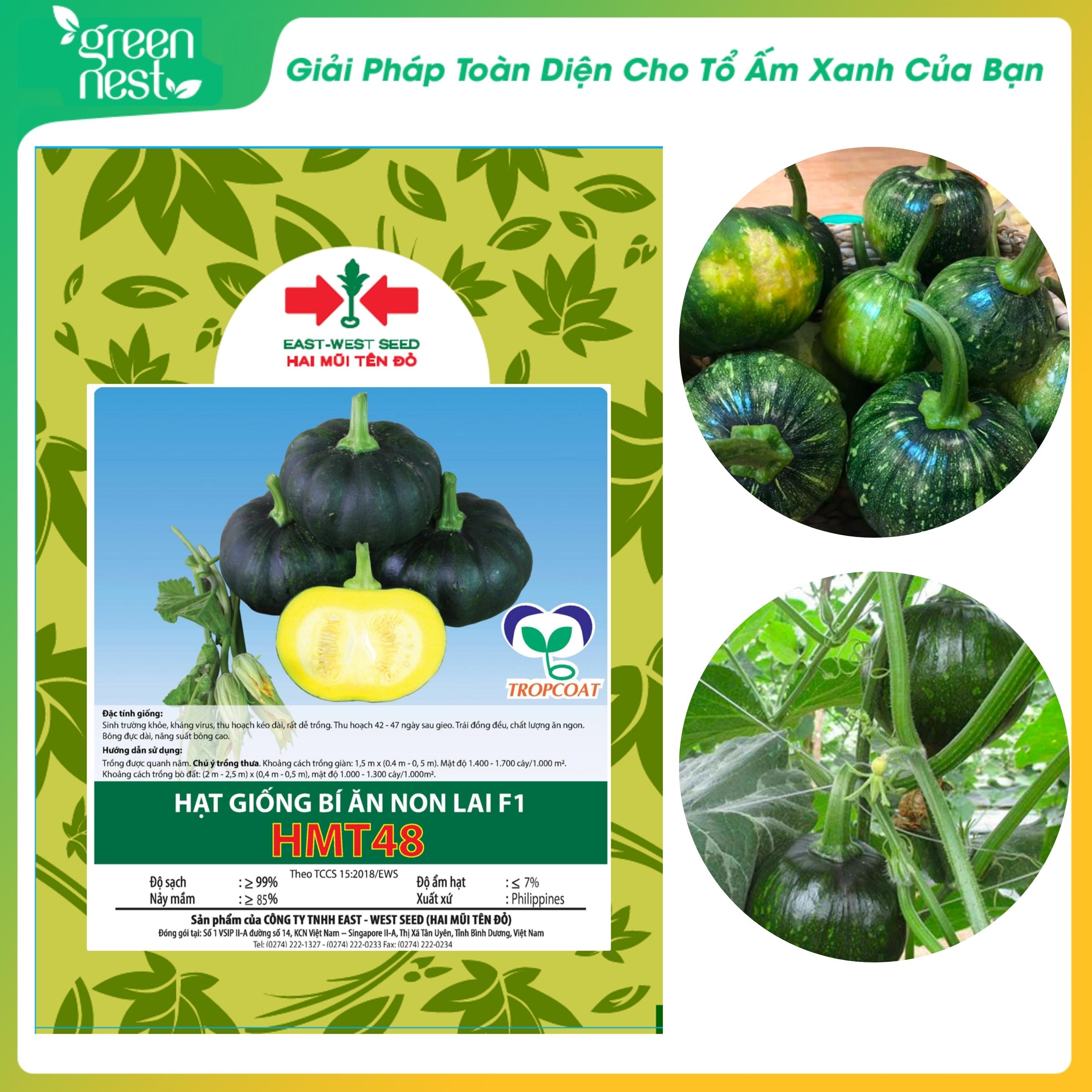 Hạt giống bí ăn non lai f1 48 - hai mũi tên đỏ - dễ trồng - năng suất cao
