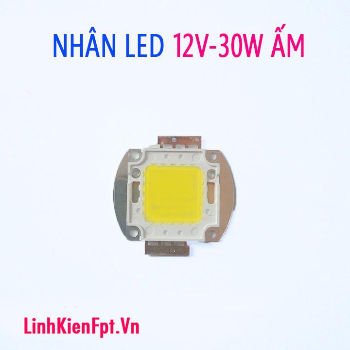 Nhân Led 12V 30W Sáng Ấm Đủ Công Suất