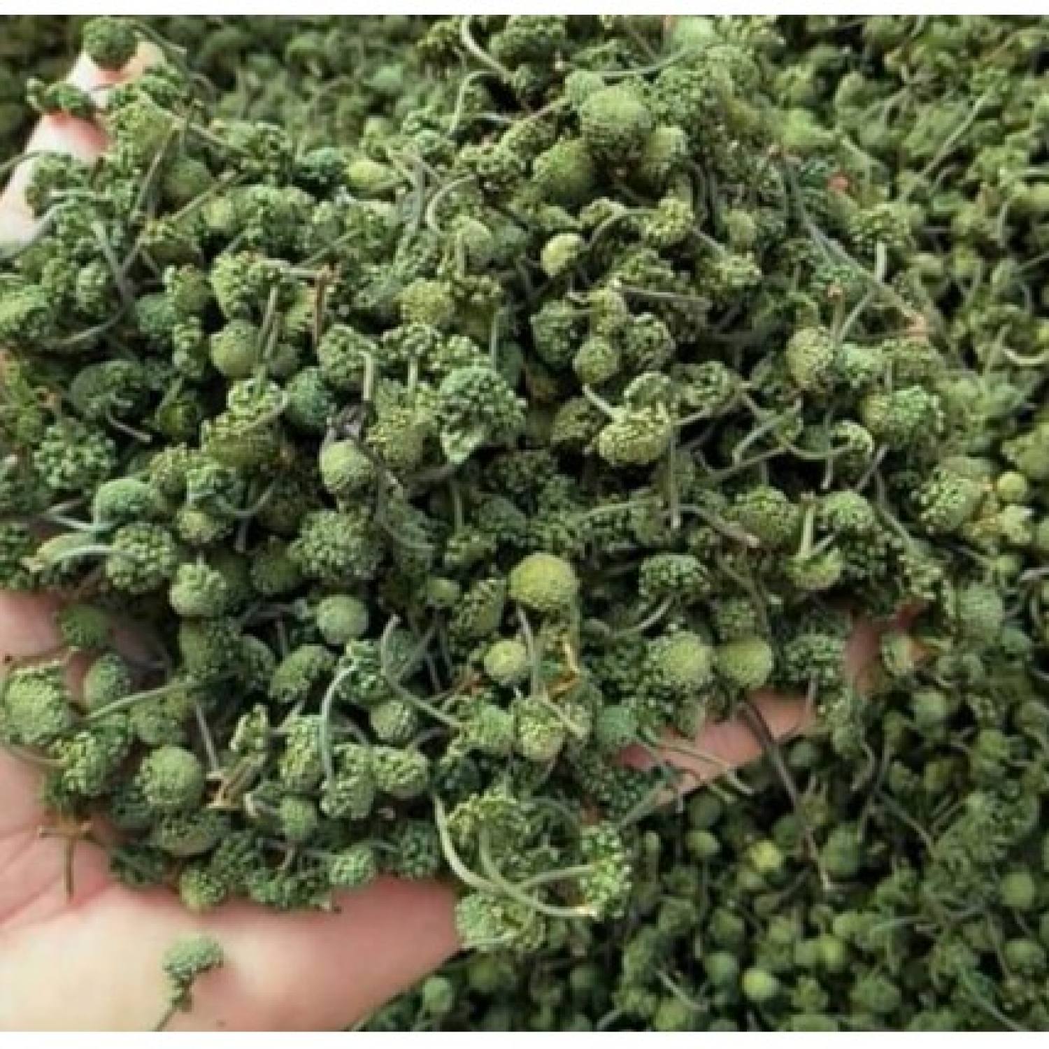 100gr Nụ tam thất bao tử hàng chuẩn lᴏại 1