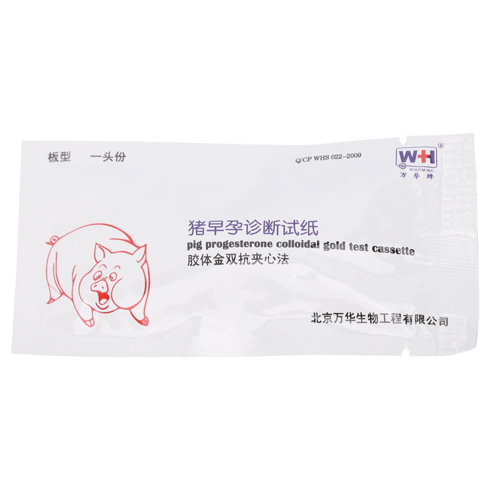 Gieo Que Thử Thai Thử Lợn Mang Thai Chẩn Đoán Thử Thử