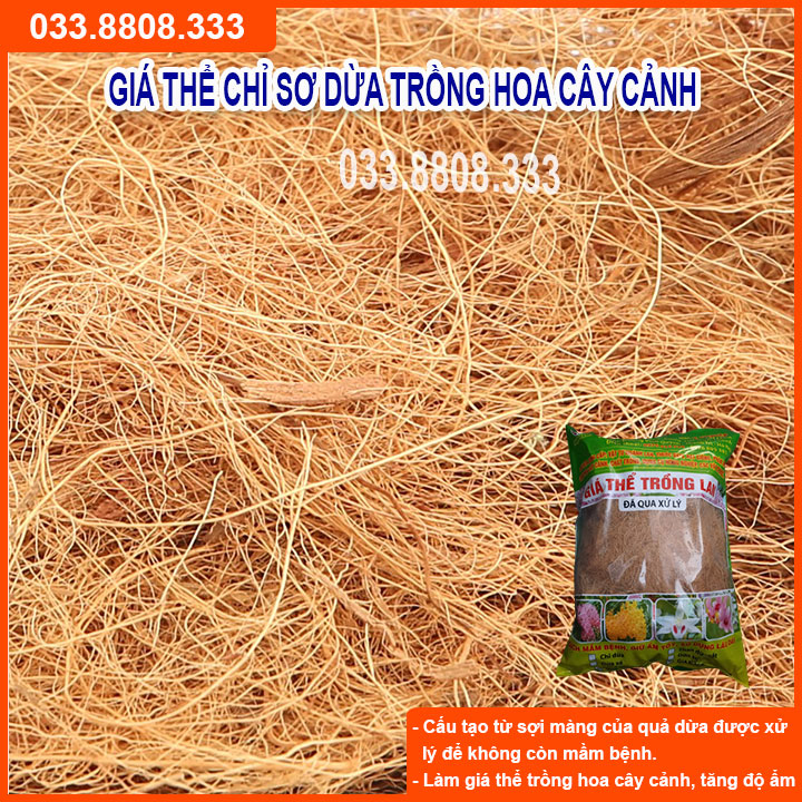 Chỉ dừa giá thể trồng lan - giá thể sạch