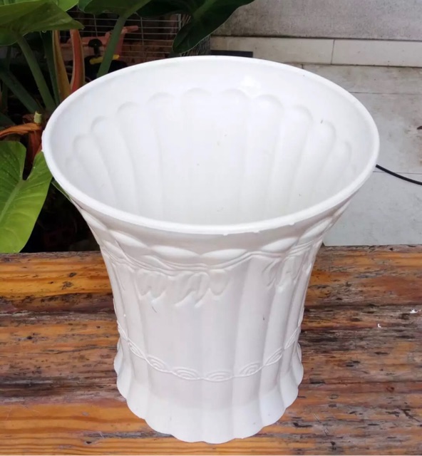 Chậu Cây Trúc Nhựa Trồng Cây