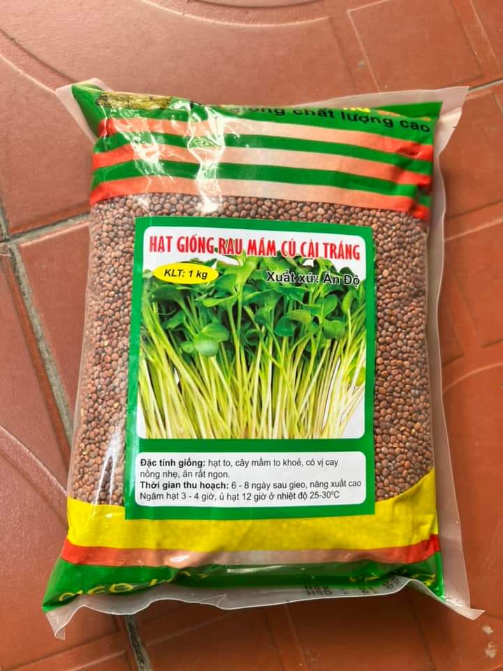 Hạt giống rau mầm củ cải trắng 1Kg (Hạt giống to, rau mầm lớn nhanh, ăn ngon)