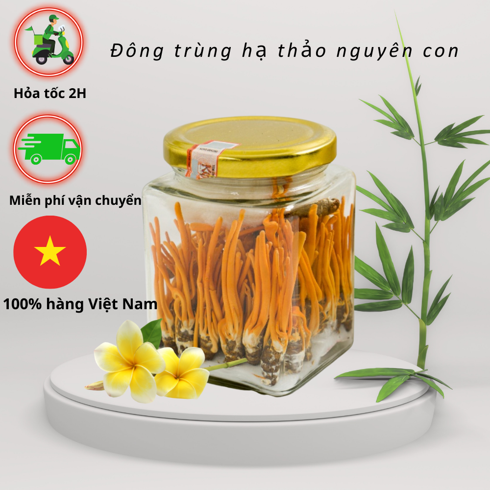 Đông trùng hạ thảo nguyên con 30con