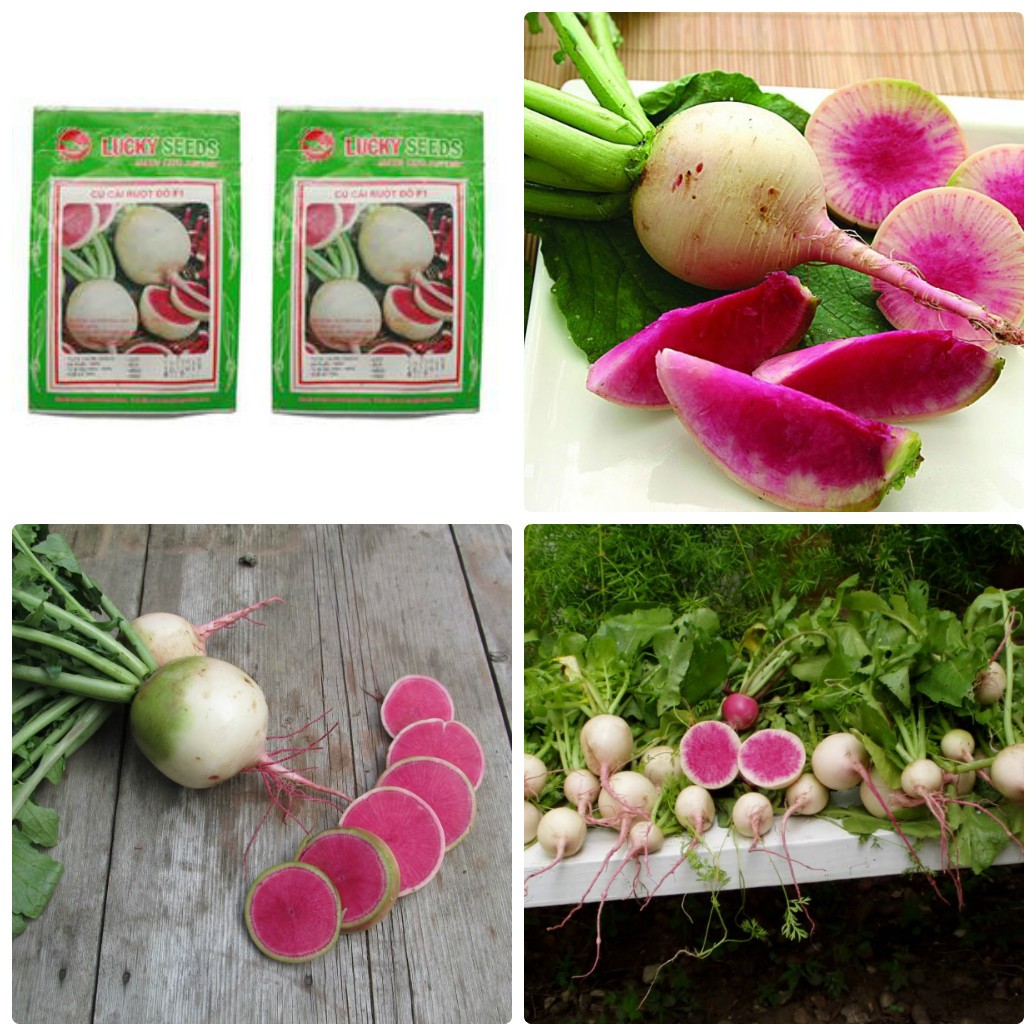 Hạt giống củ cải trắng ruột đỏ - 2gram/gói