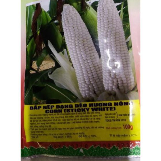 HẠT GIỐNG BẮP NẾP TRẮNG DẺO - BẮP NÙ - BẮP NẾP TA - GÓI 100 GRAM - MẪU NHÃN TUỲ ĐỢT HÀNG