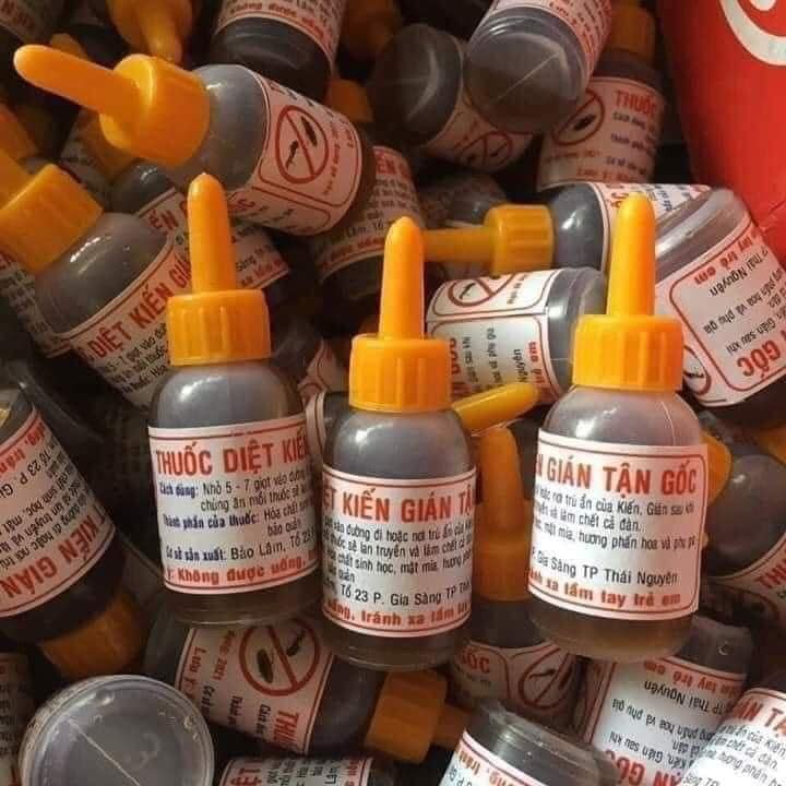 Diệt kiến, diệt gián tận gốc