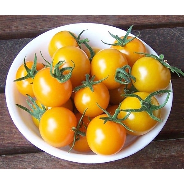 Hạt giống Cà chua Cherry Vàng TN