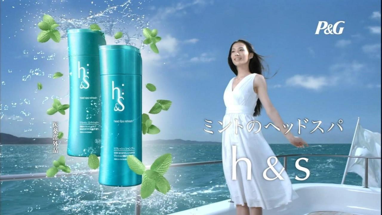 Cặp gội xả HS Nhật Bản - 450ml