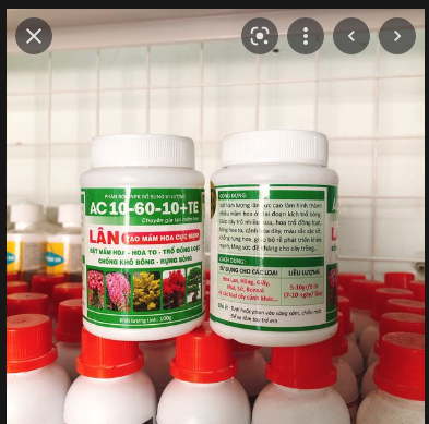 Phân Bón Siêu Lân 10-60-10+TE Tạo Mầm Hoa (Hủ 100gr)