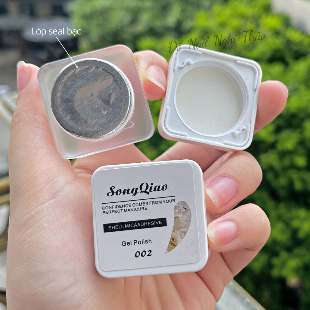 Gel nhũ ẩn xà cừ trang trí móng 8g