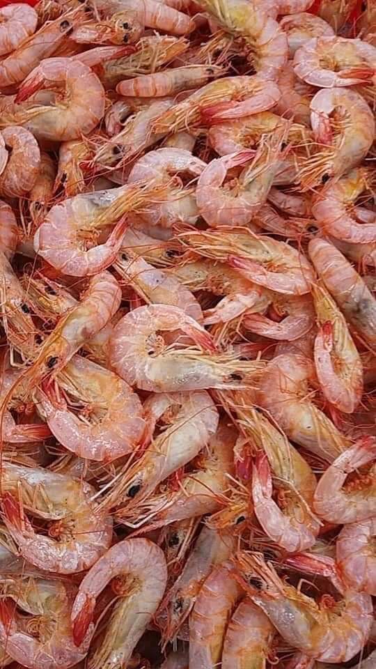 500g TÔM ĐẤT PHƠI KHÔ (nhỏ) - BÁN ĐÚNG GIÁ - HÀNG ĐÚNG CHẤT