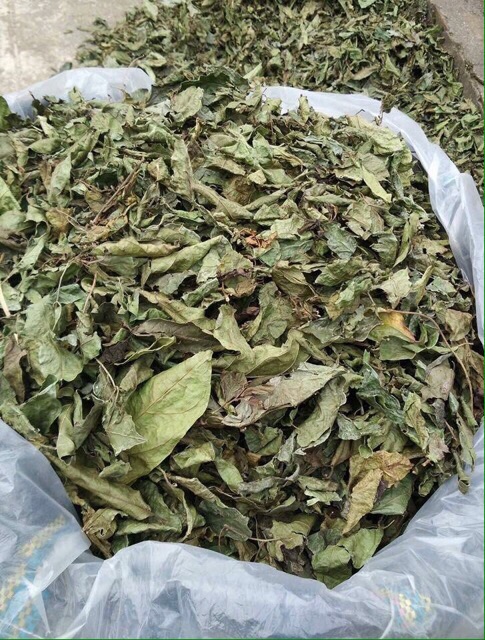 Cây Xạ Đen Hoà Bình Khô ( Túi 1kg)