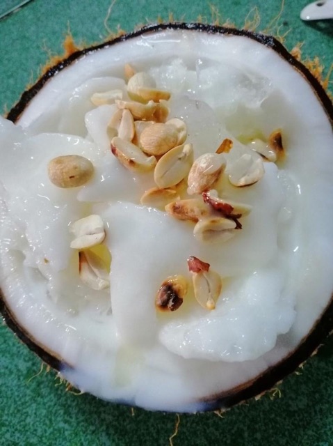 Cây giống dừa sáp
