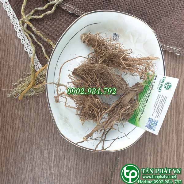[Hàng mới về] Trà rễ bồ công anh túi lớn loại 1kg - Thảo Dược Tấn Phát - Chuyên dùng để pha trà tha.nh nhiệt và gi.ải đ.ộc