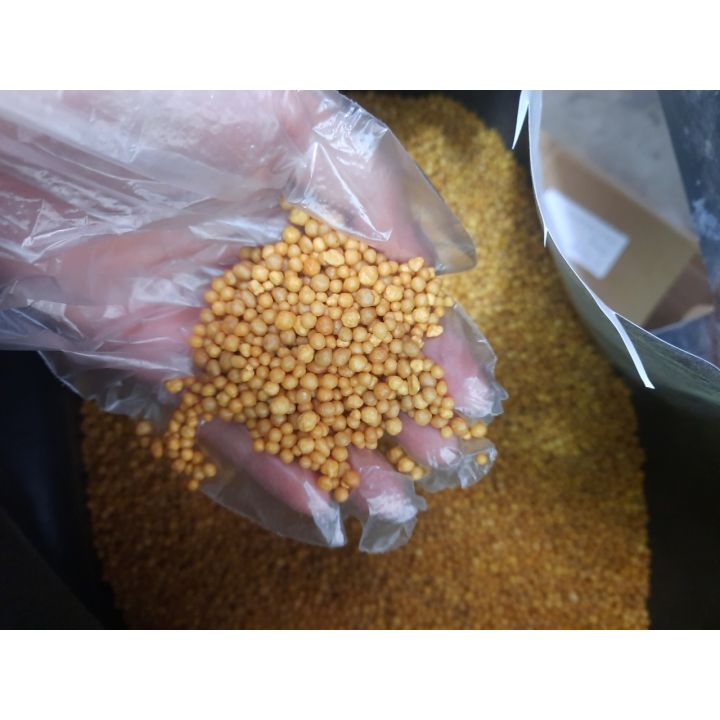 100gr phân tan chậm hạt vàng Oscomote 14.14.14
