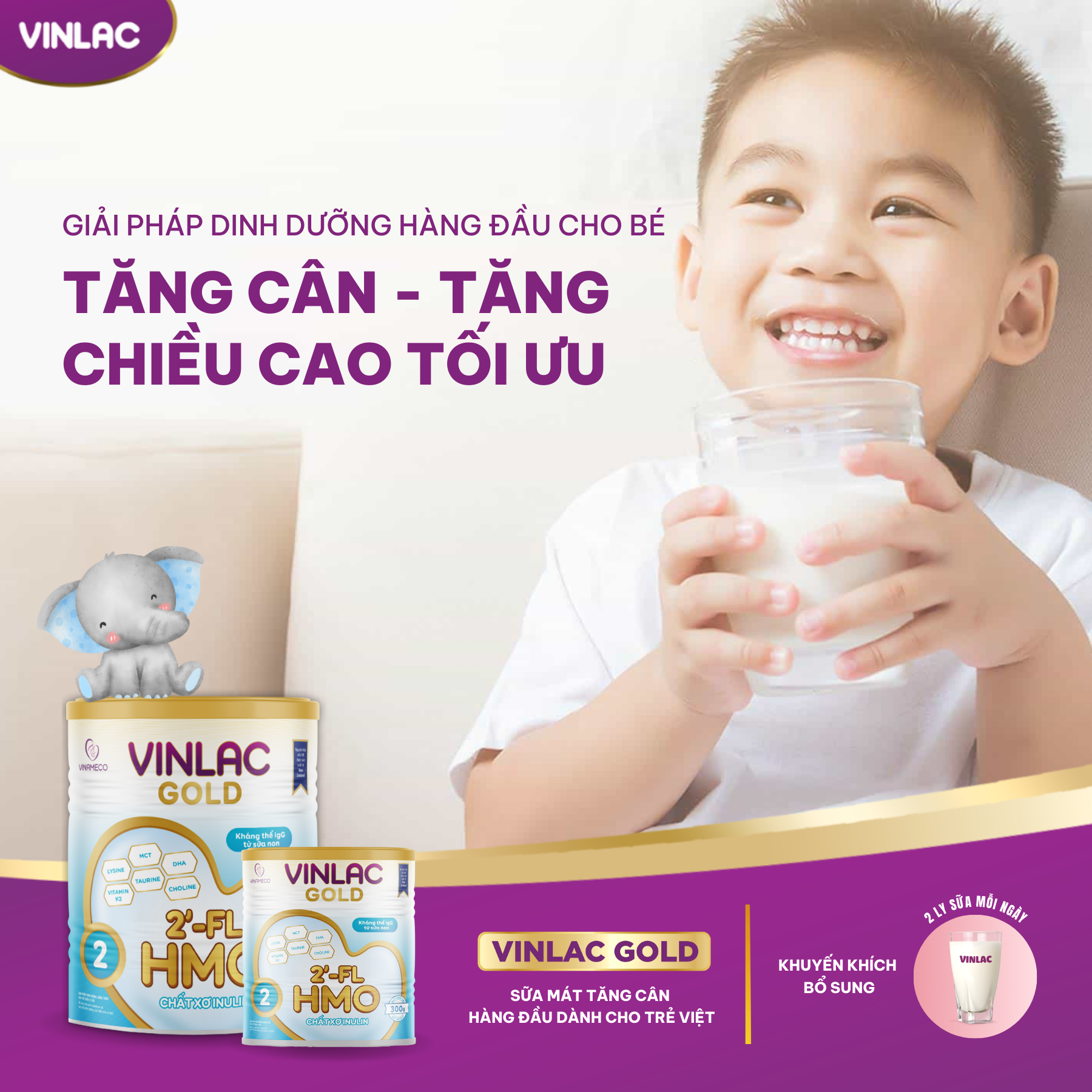 Sữa bột Vinlac Gold số 2 800g