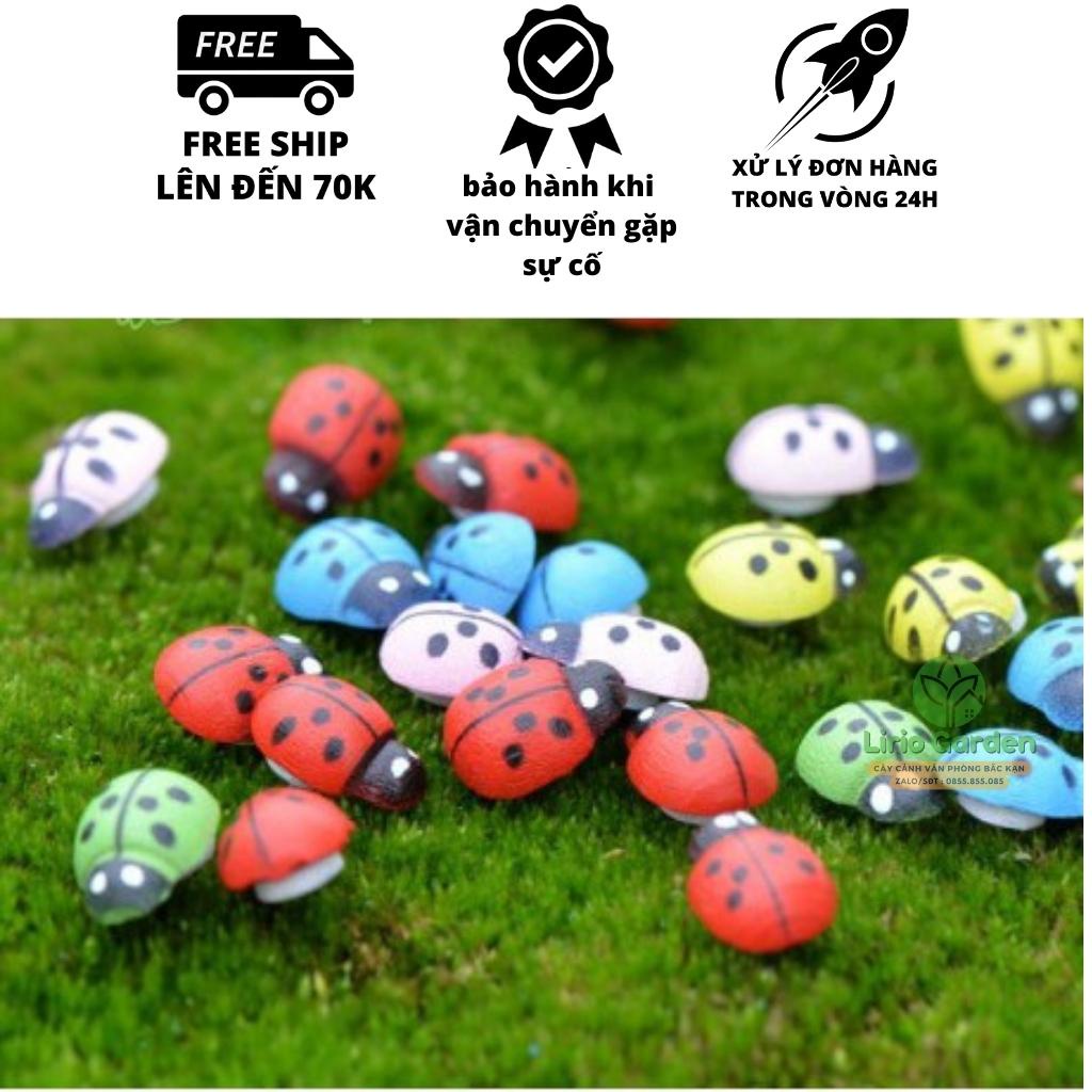 bọ cánh cam mini trang trí tiểu cảnh